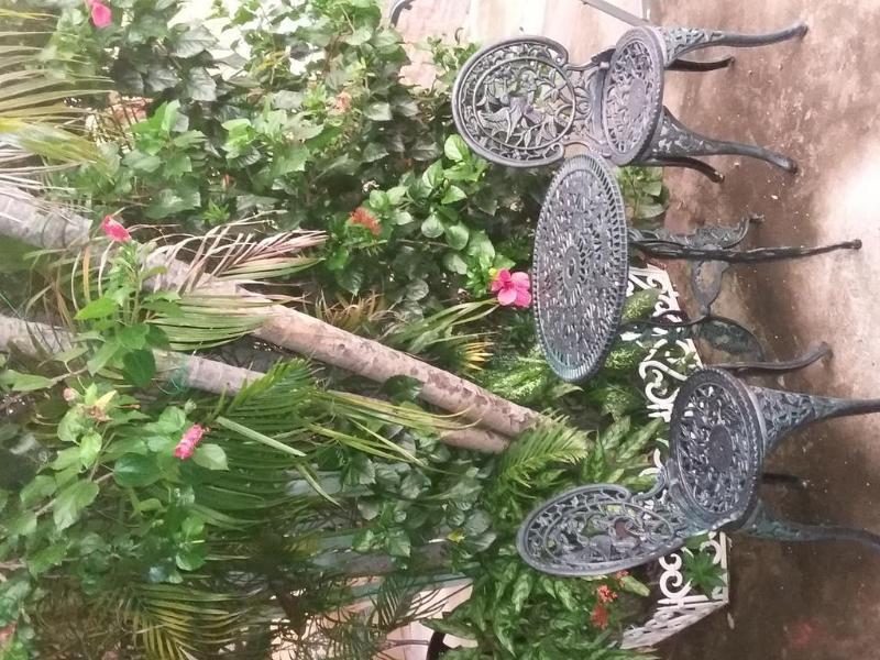 Cabinas Madeleine Puntarenas Zewnętrze zdjęcie