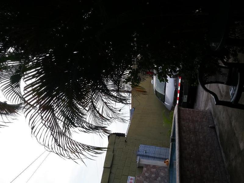 Cabinas Madeleine Puntarenas Zewnętrze zdjęcie